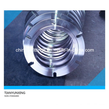 Non-Standard Special Forged Stainless Steel Flanges